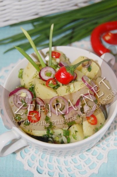 Картофельный салат с луком и зеленью - рецепт и фото