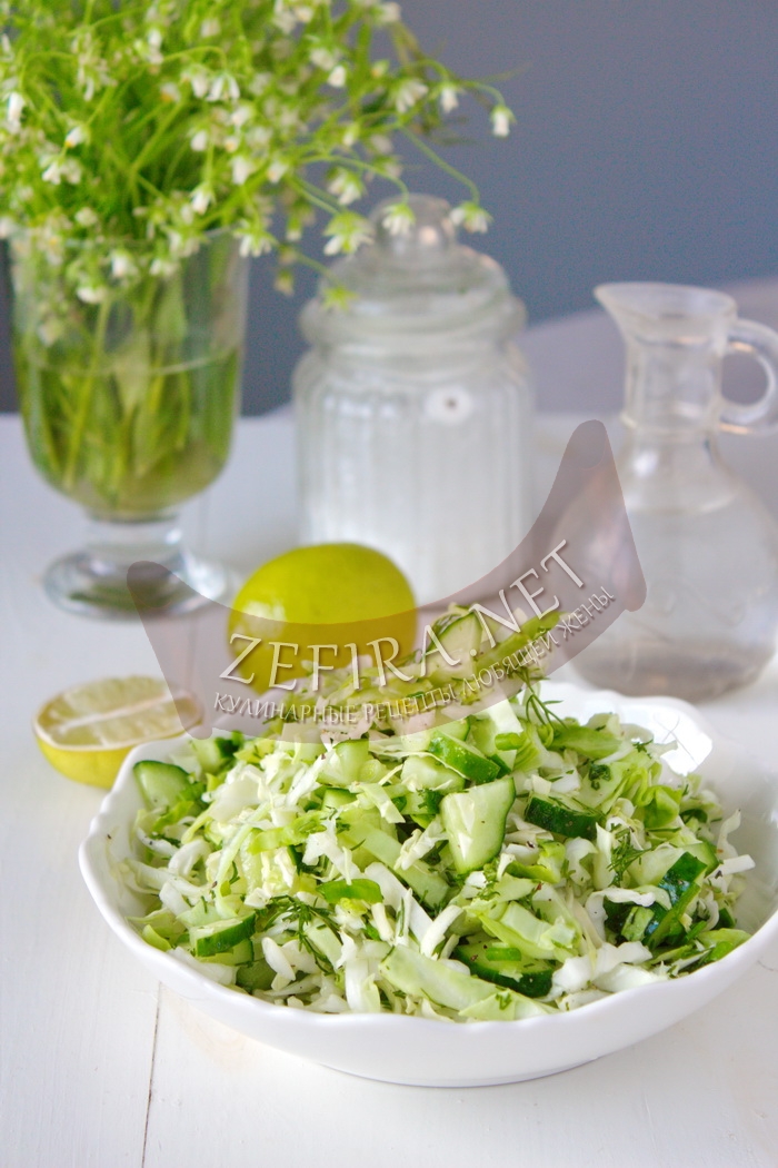 Вкусный салат из капусты с огурцом - рецепт и фото