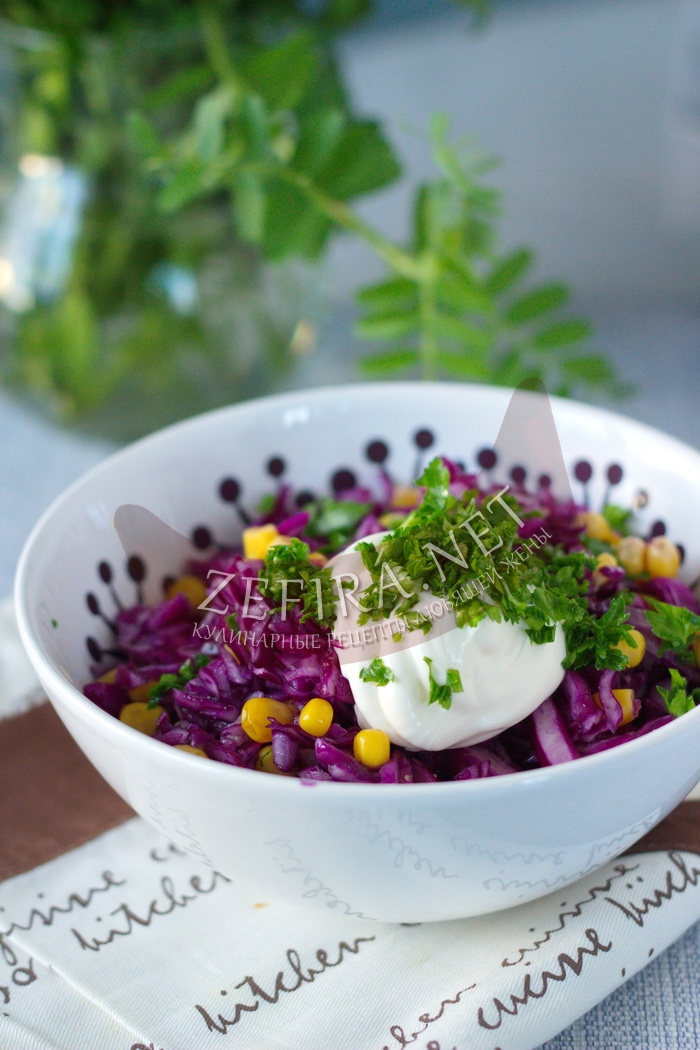 Салат из красной капусты с кукурузой по-польски - рецепт и фото